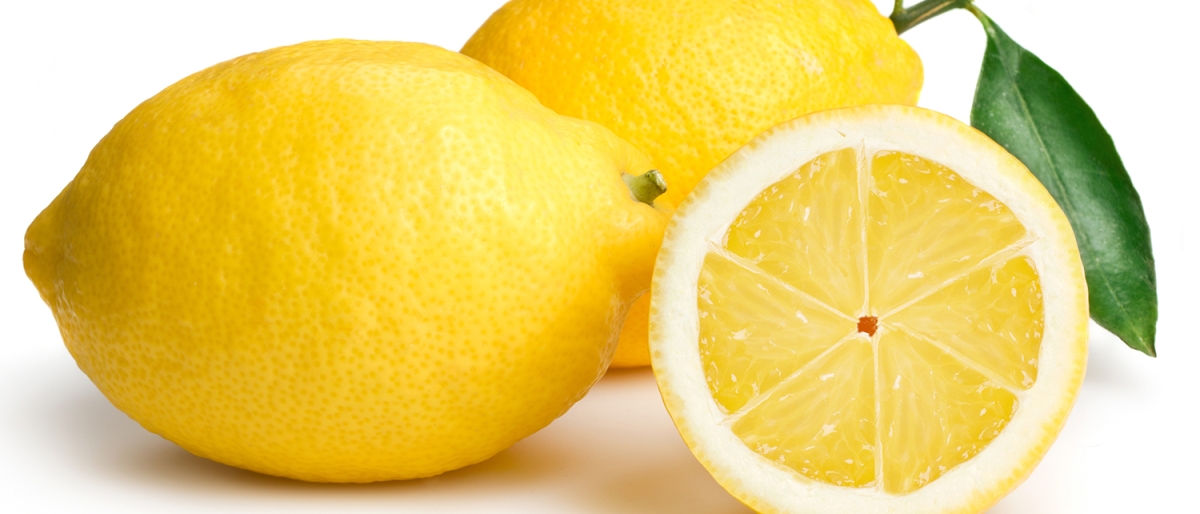 Headerbild_Zitrone