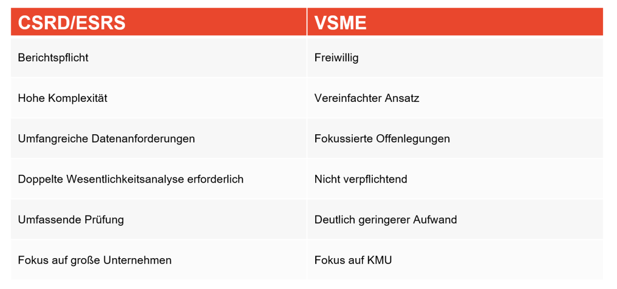 VSME Tabelle